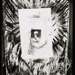 Contact Sheet 205