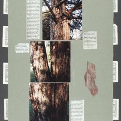 Contact Sheet 205