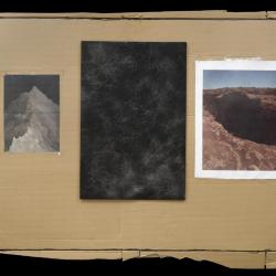 Contact Sheet 205