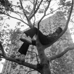 Reclining in Tree by Goddard Riverside Community Center, NY, NY June 1978